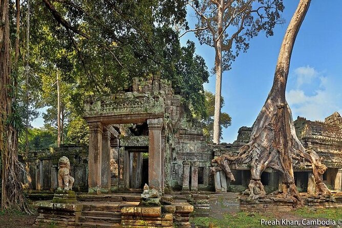 Angkor Wat Sunrise Private Experience With Guide From Siem Reap - Visiting Ta Prohm