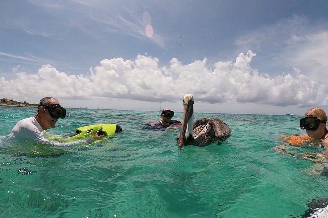 Antilla Shipwreck Seabob Tour - Booking and Cancellation Policy