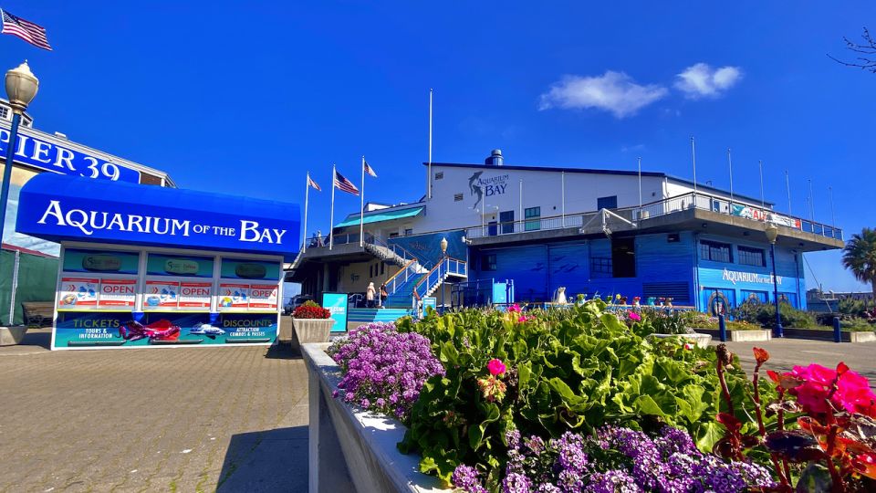 Aquarium of the Bay VIP Tour - Behind-the-Scenes Access