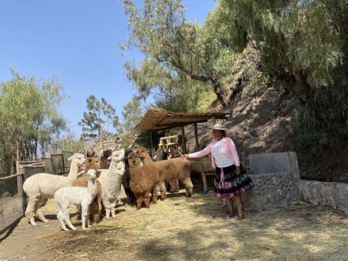 Arequipa: Experiential Textile Tourist Center - Frequently Asked Questions