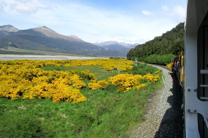 Arthurs Pass and Tranzalpine Train Day Tour From Christchurch - Customer Experiences