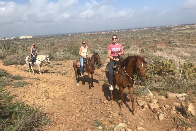 Aruba Horseback Riding Tour to Hidden Lagoon - Booking Process