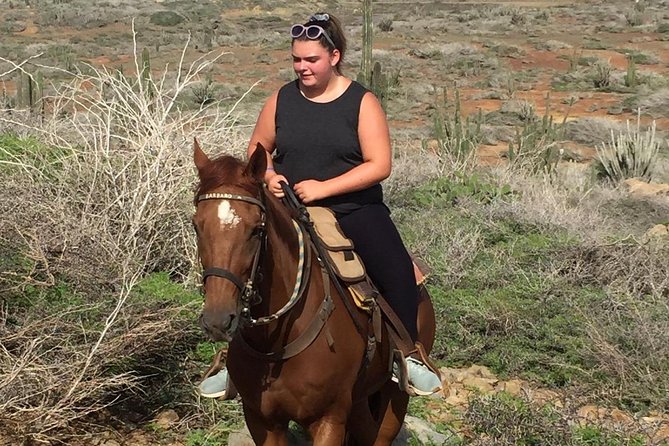 Aruba Private, 2 Hour Horseback Riding Tour For Advanced Riders - Booking Your Tour