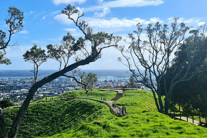 Auckland City Highlights Half Day Tour - Tips for a Great Tour