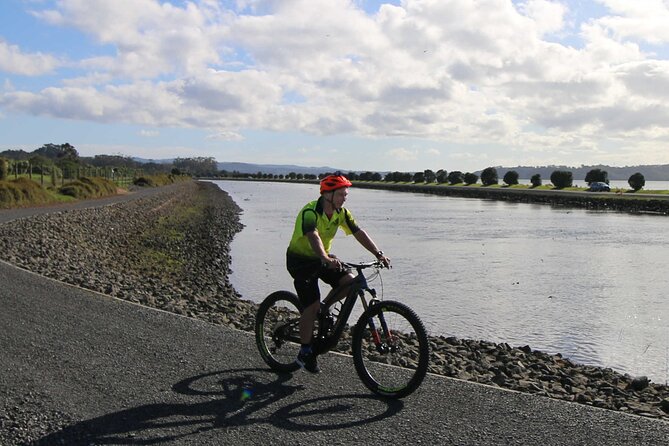 Auckland Half Day E-Bike Excursion - Customer Reviews and Ratings