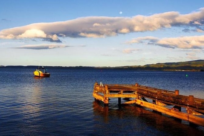 Auckland to Rotorua via Waitomo Caves Small Group Tour (One Way) - Customer Reviews