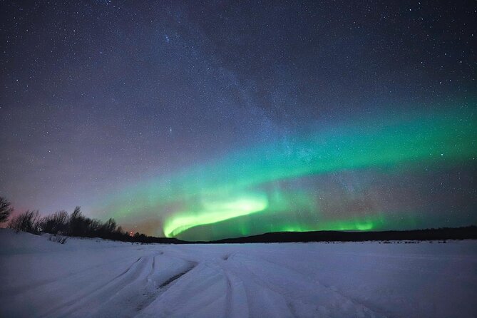 Aurora Hunting Guarantee Tour With Photography - Customer Feedback and Reviews
