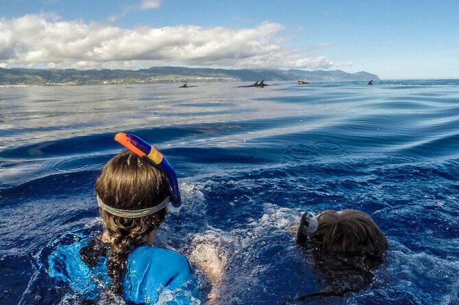 Azores Swim With Dolphins Atlantic Experience - Booking Information