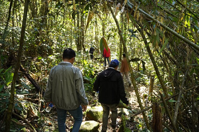 Bach Ma National Park Trekking Daily Tour From Da Nang, Hoi an - Scenic Attractions