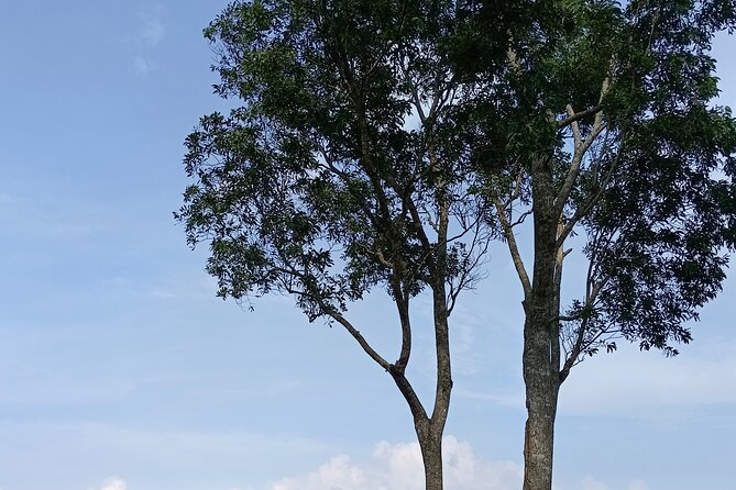 Bali : Best Private Day Tour With Private Driver - Booking and Cancellation Policy