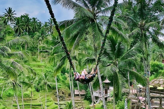 Bali Culture and Choose Your Bali Tour Route in Bali With Bali Driver-Free WIFI - Customer Reviews