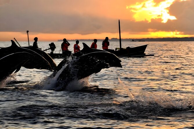 Bali Dolphin Watching Sunrise Tour in Lovina Beach - Tips for a Great Tour