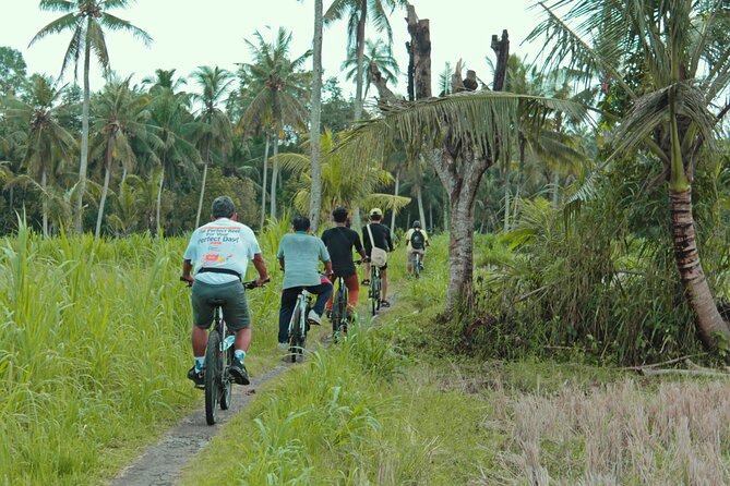 Bali Eco Cycling Tour - Customer Reviews