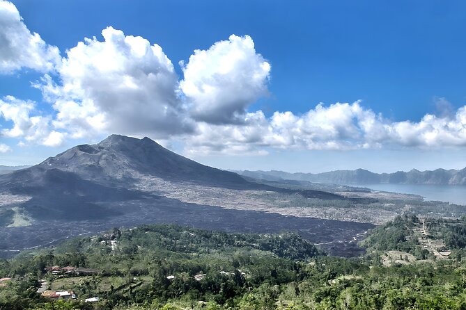 Bali Full-Day Car Charter: Ubud and Kintamani Volcano Tour - Flexible Itinerary Options
