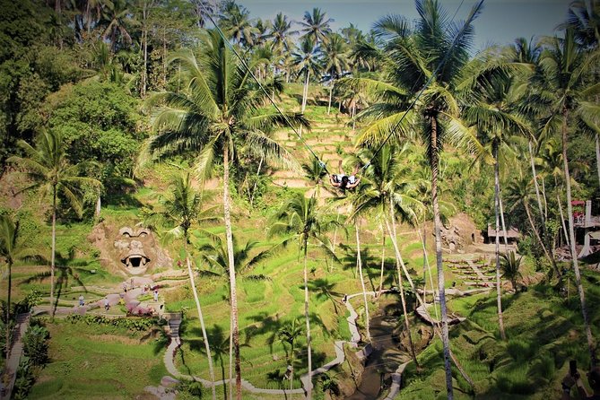 Bali Full Day Tour | Individual Route in Bali | Bali Guide | Free Wi-Fi - Additional Information