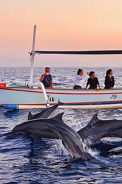 Bali: Iconic Handara Gate With Dolphin Watching Tour - Frequently Asked Questions