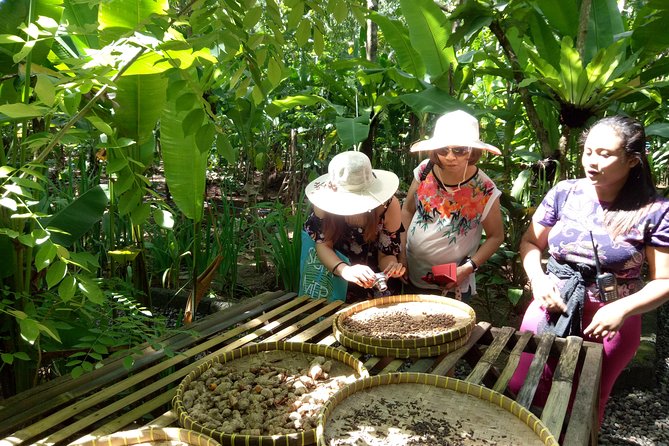 Bali Night Market Experience and Ubud Highlights Tour - Tips for Enjoying Your Tour