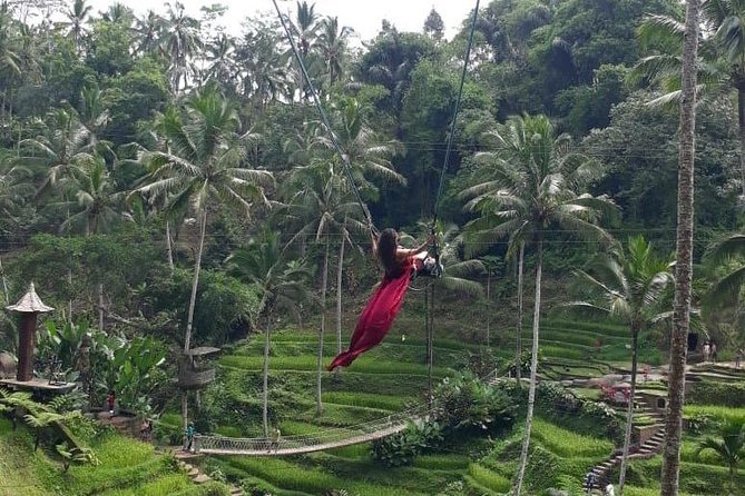 Bali Private 3 Days Tour Package Highlight - Customer Testimonials