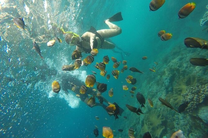 Bali Private Snorkeling (Manta, Sea Cucumber, Crystal) and Nusa Penida Tour - Notable Landmarks and Sights