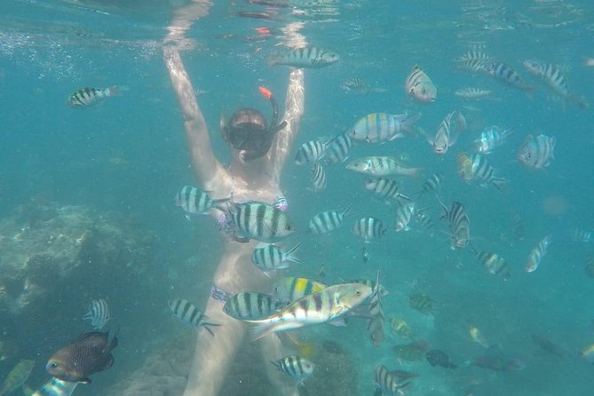 Bali Snorkeling at Blue Lagoon Include Private Transport - Customer Reviews and Ratings