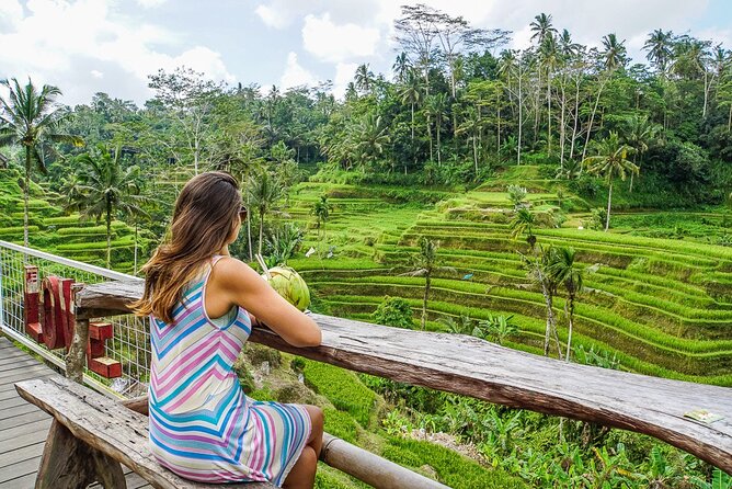 Bali Swing Ubud Tour With Lunch - Tegalalang Rice Terrace and Monkey Forest