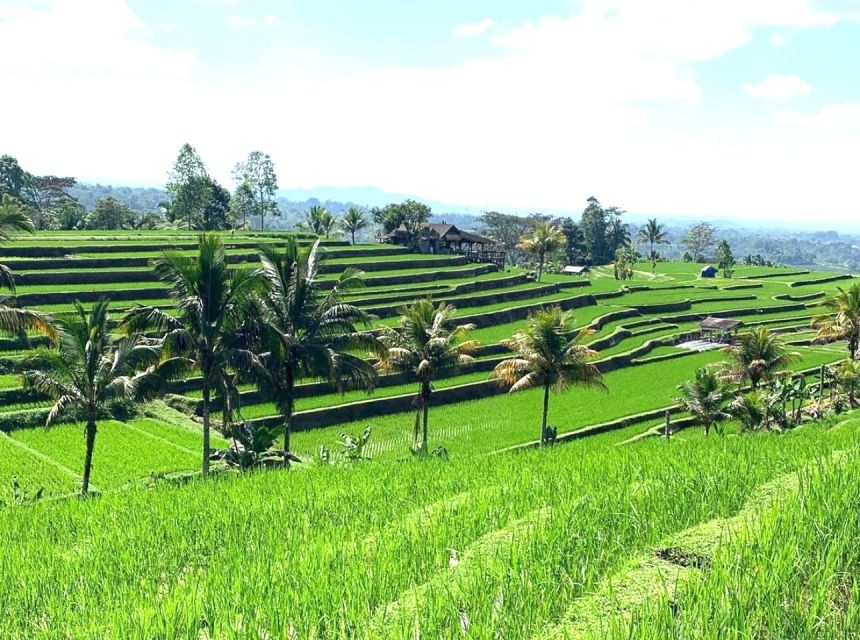 Bali: Tanah Lot, Jatiluwih Terrace, and Ulun Danu Beratan Tour - Explore Balis Spiritual Heritage