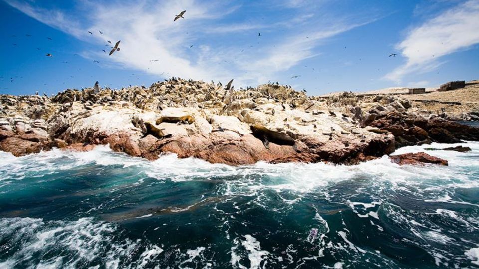 Ballestas Islands & Paracas National Reserve From Paracas - Travel Tips for Paracas