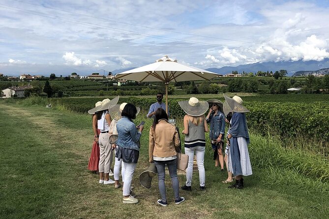 Bardolino Wine Experience - Tips for Your Visit