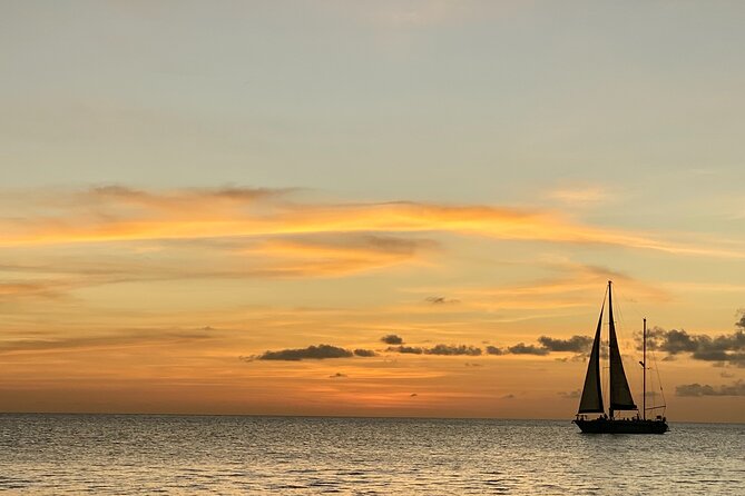 BBQ & Sunset Tour - Guest Testimonials
