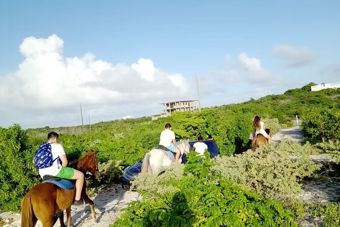 Beach Trail and Swim. Cockburn Town, Grand Turk, Turks and Caicos - Tour Operator Communication
