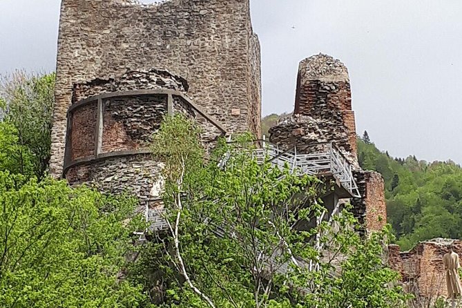 Bears Sanctuary, Draculas Castle, Brasov Day Trip Private Tour From Bucharest - Pickup and Departure Details