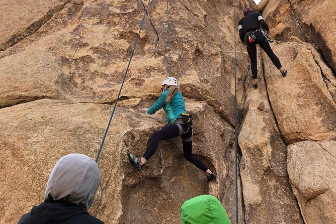 Beginner Group Rock Climbing in Joshua Tree National Park - Booking Information and Pricing