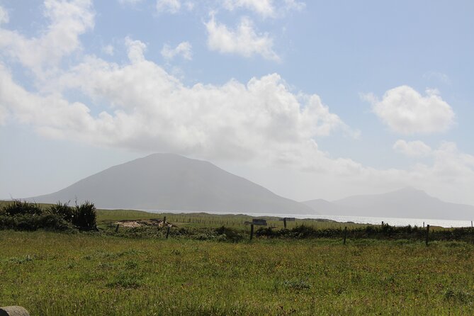 Belmullet Small-Group Walking Tour (AlchemyTours.ie) - About Alchemy Tours