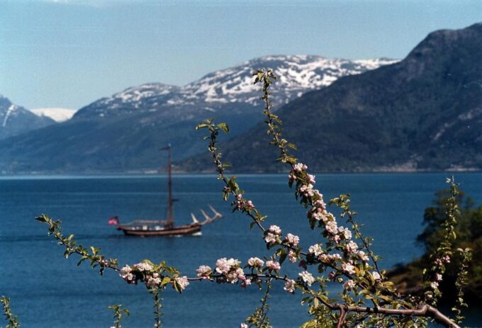 Bergen: Hardanger Fjord Cruise & Vøringsfossen Private Tour - Booking Process