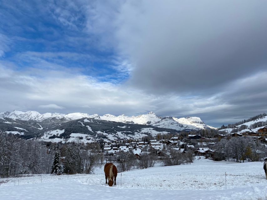 Bespoke Private Megève Experience - Booking Information
