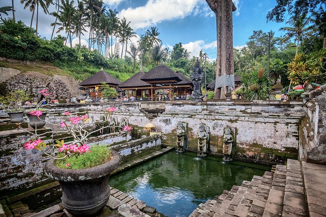 Best of Bali : Bali Temples , Rice Terrace and Waterfall Tour - Elephant Cave and Tirta Empul Temple