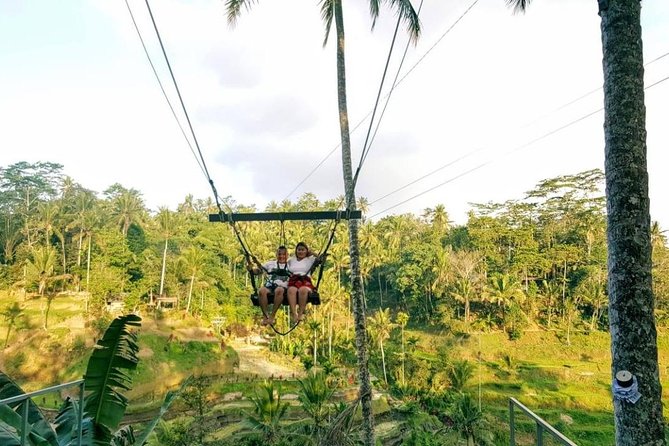 Best of Bali Jungle Swing With Ubud Sightseeing Tour - Additional Tour Details
