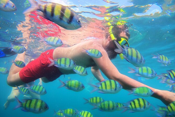 Best of Phi Phi Islands Snorkeling Tour From Phuket - Snorkeling in Pileh Lagoon
