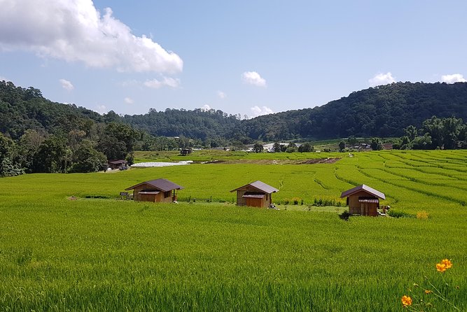 Best Seller! Doi Inthanon National Park Oneday Tour With the Highest Point - Customer Reviews and Ratings