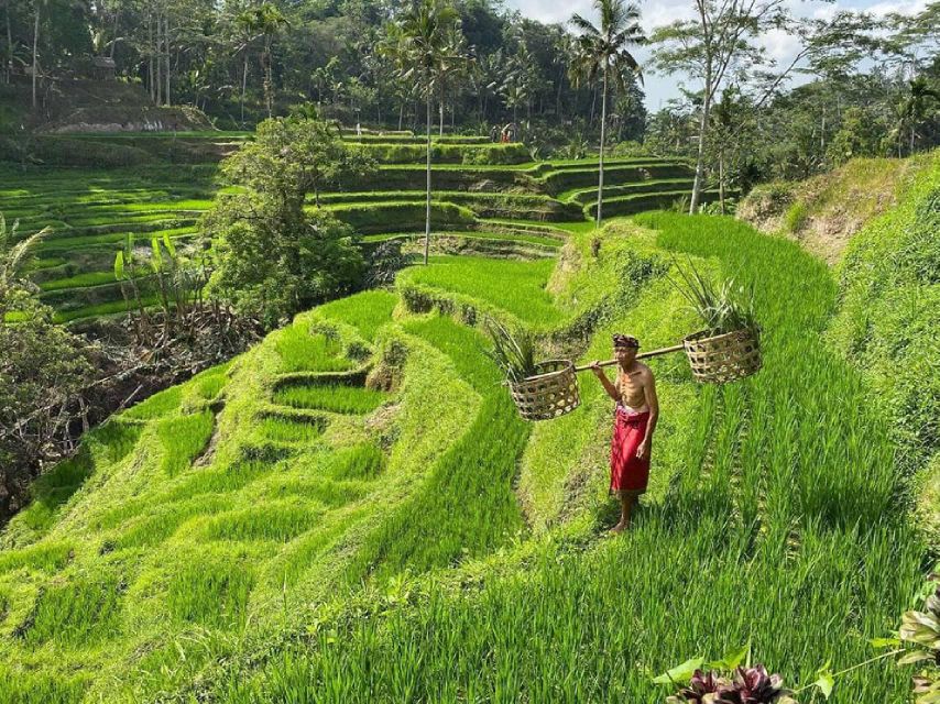 Best Ubud Waterfalls, Rice Terrace & Swing - Inclusive Tour - Frequently Asked Questions