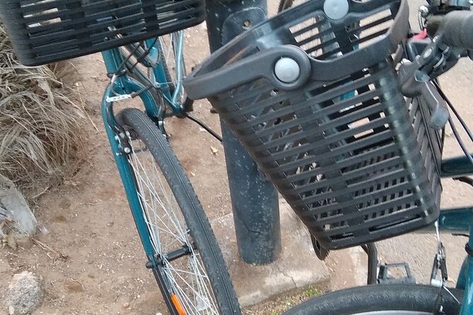 Bike Rental Tenerife - Nearby Public Transportation Options