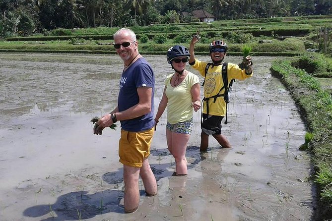Bike Ride in the Rice Fields, Bali Countryside - Medical Conditions Notice
