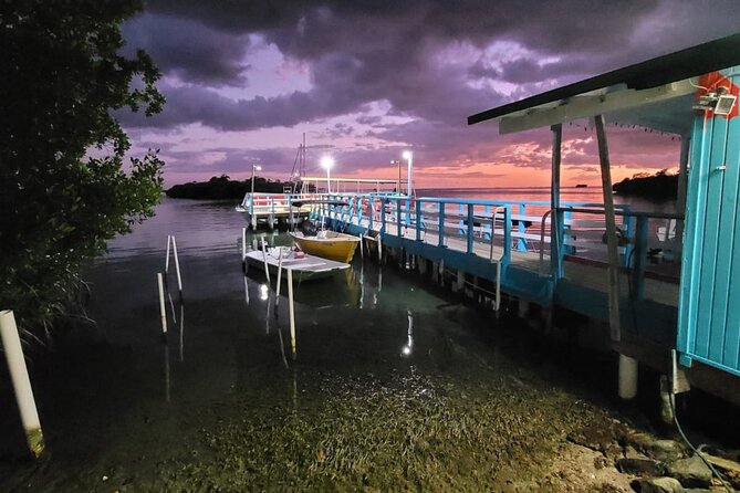 Bio Bay Swimming Experience With Boat Transport From La Parguera - How to Prepare for Your Trip