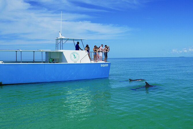 Biologist Owned & Operated: Dolphin Watching & Guided Snorkeling - Booking Information