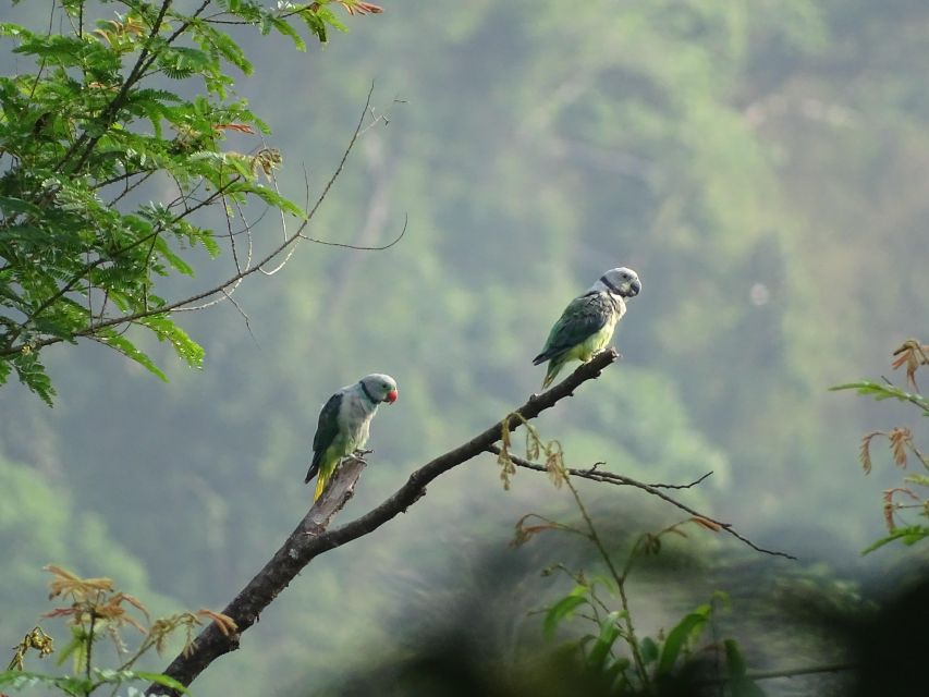 Birdwatching & Bird Photography at Thattekkad - Frequently Asked Questions