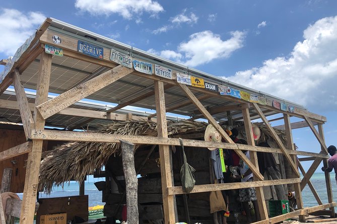 Black River Safari, YS Falls and Floyds Pelican Bar - Tips for Your Visit