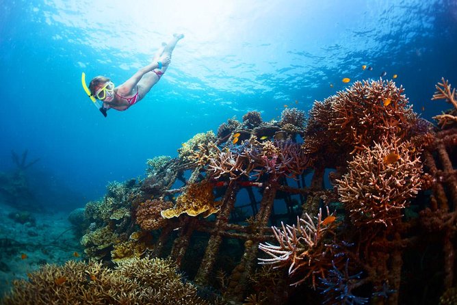 Bloo Lagoon Snorkeling East Bali Includes Transportation & Lunch - Optional Upgrades
