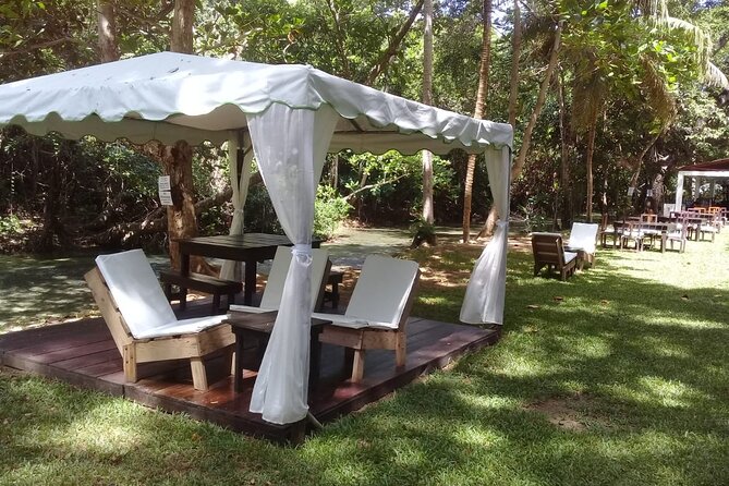 Blue Hole and Dunn'S River Falls Tour With Lunch and Cocktails at Reggae Hill - Frequently Asked Questions
