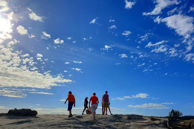 Blue Mountains Unique Small-Group Day Adventure With Picnic Lunch - Booking and Pricing Information