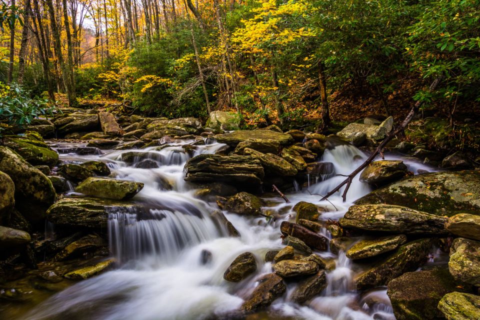Blue Ridge Parkway – Driving Audio Tour (Roanoke ↔ Afton) - Flexible Scheduling and Offline Exploration